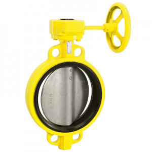 acheter Fibre de verre de bague de vanne papillon de poignée de levier de blocage et acier inoxydable 316 avec la doublure de TFE fabrication en ligne